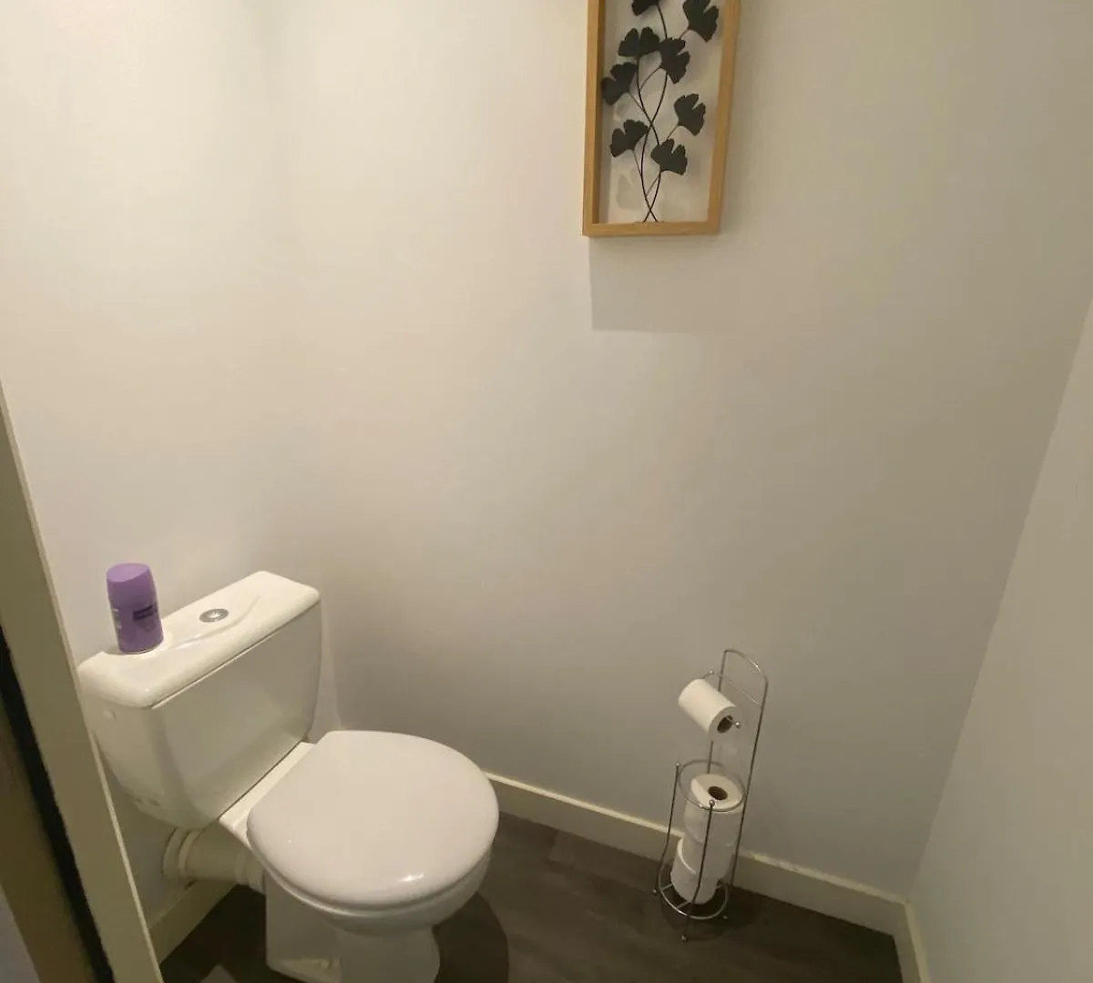 Appartement Avec Terrasse Privee Sur Les Toits De Tuluza Apartament