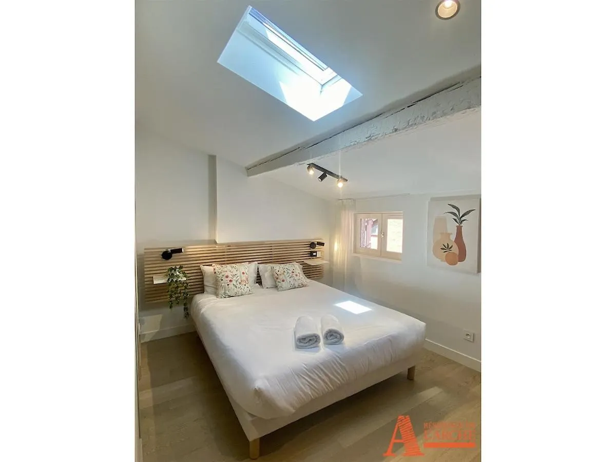 Appartement Avec Terrasse Privee Sur Les Toits De Tuluza